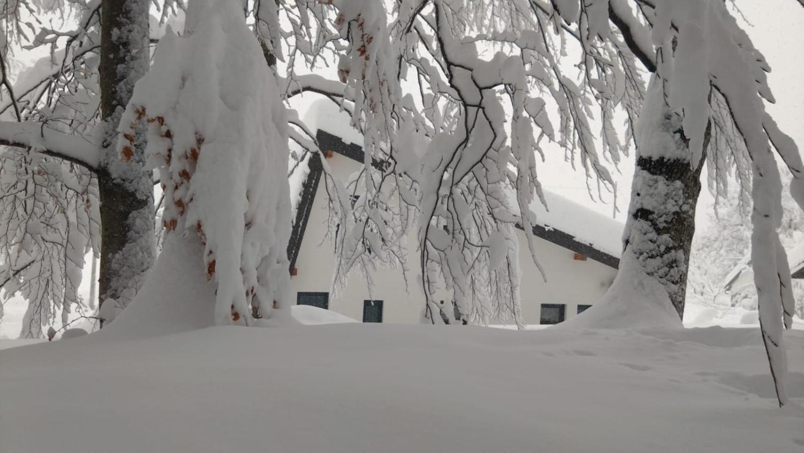 BrusaneOak House别墅 外观 照片